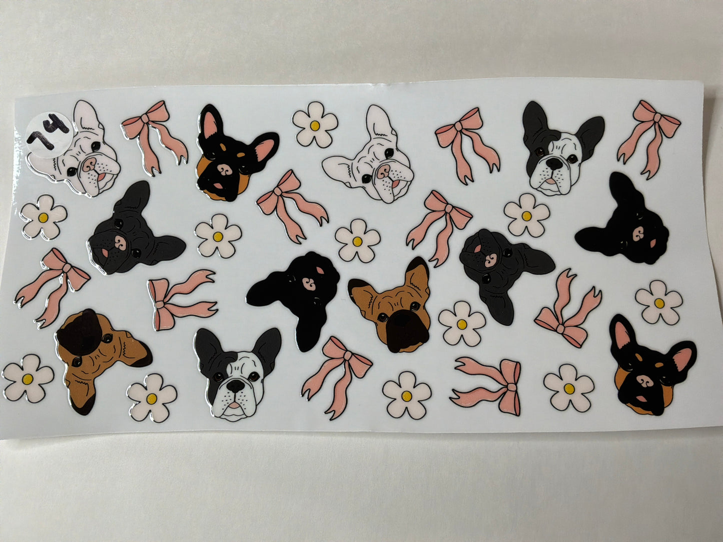 Animals-Animal Prints #74