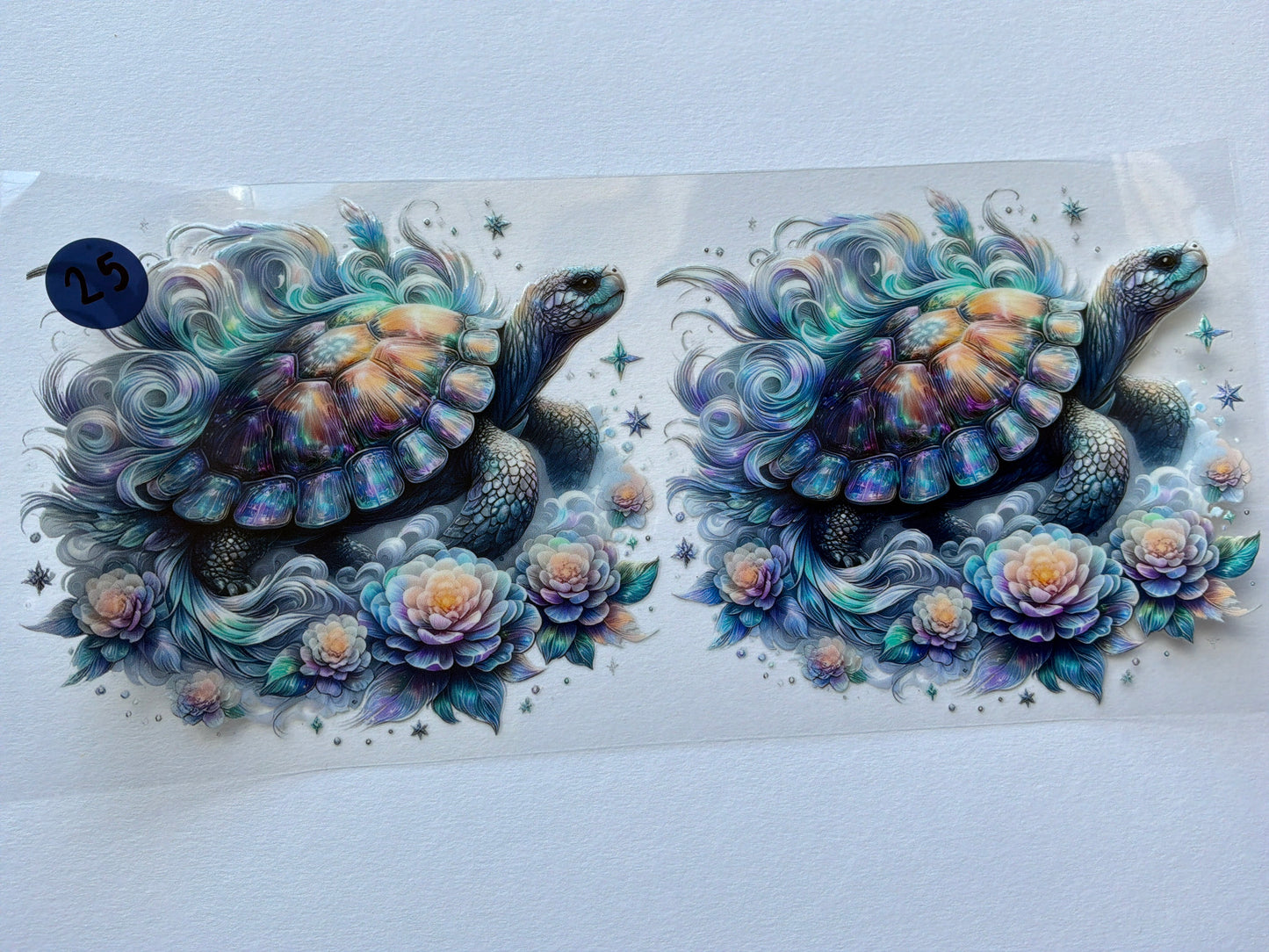 Ocean-Shells #25