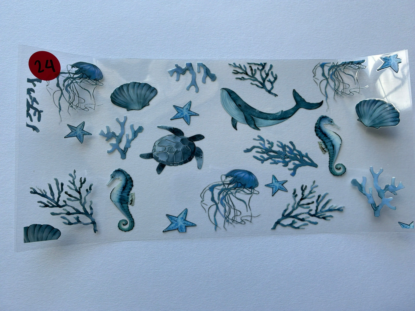 Ocean-Shells #24