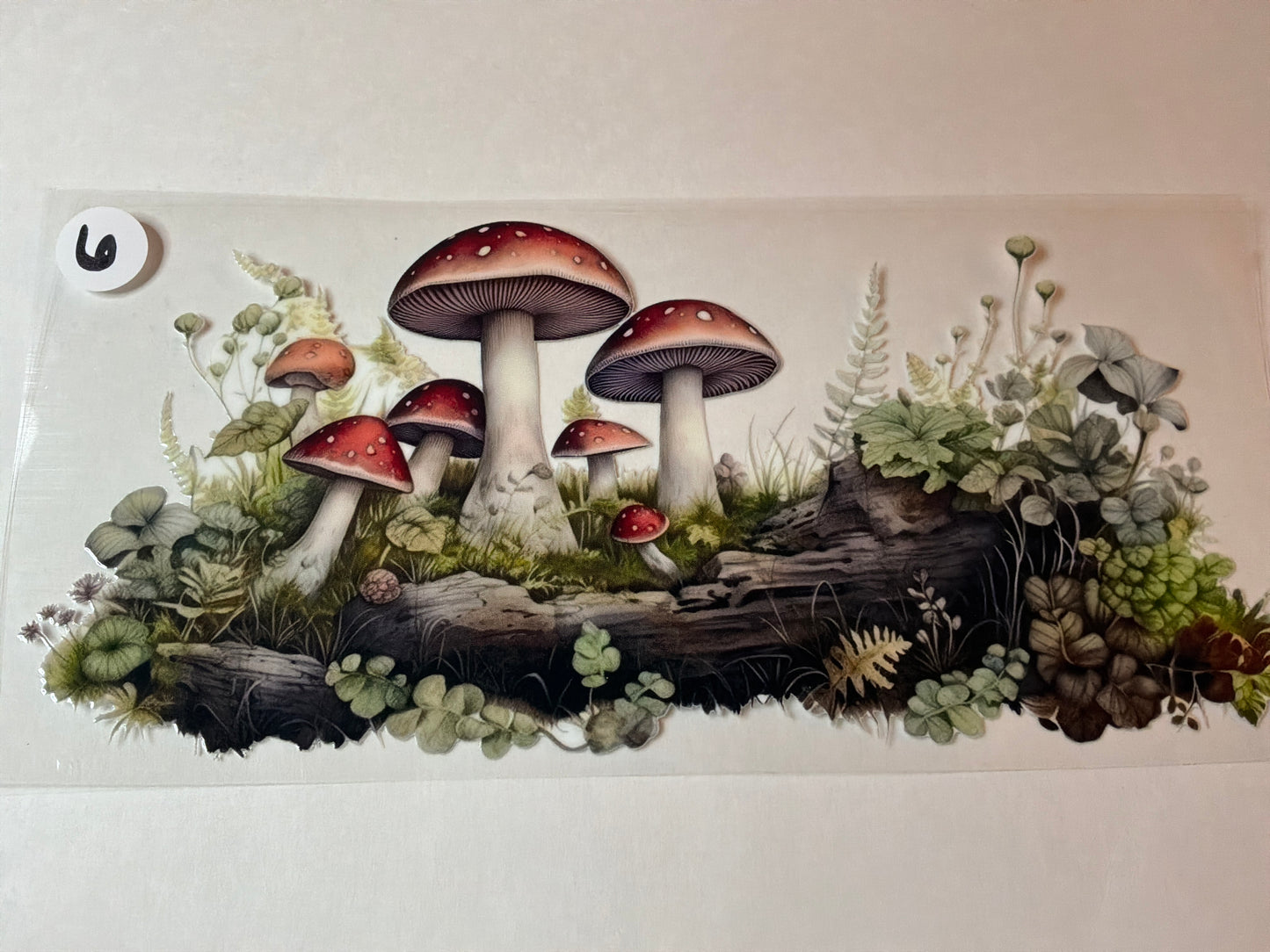 Whimsical-Gnomes-Mushrooms #6