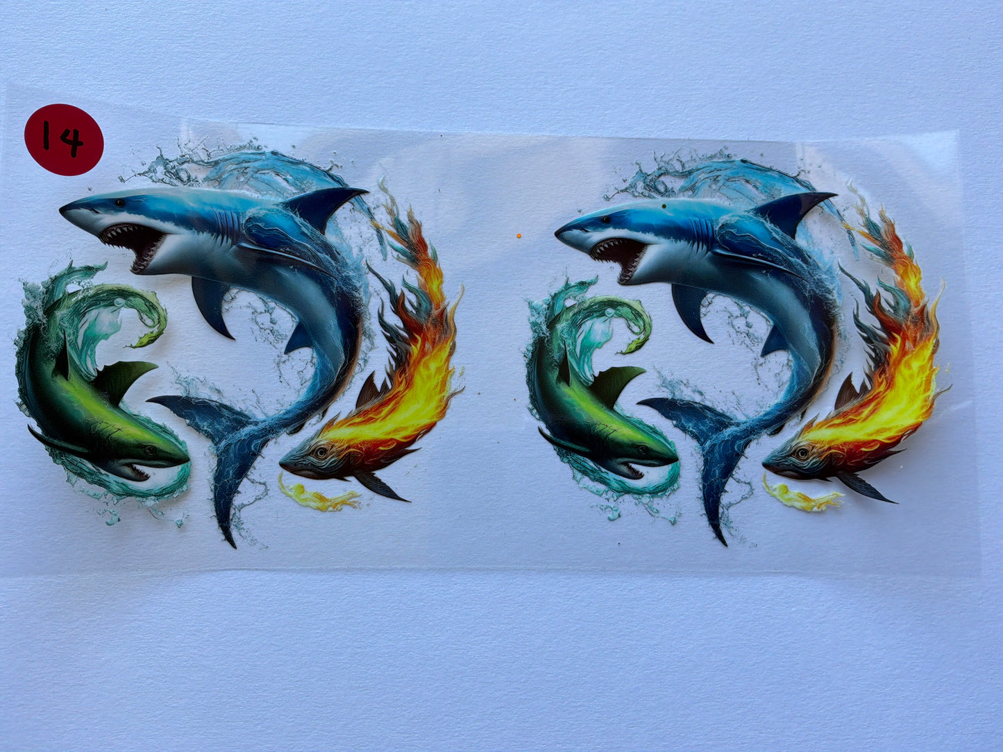 Ocean-Shells #14