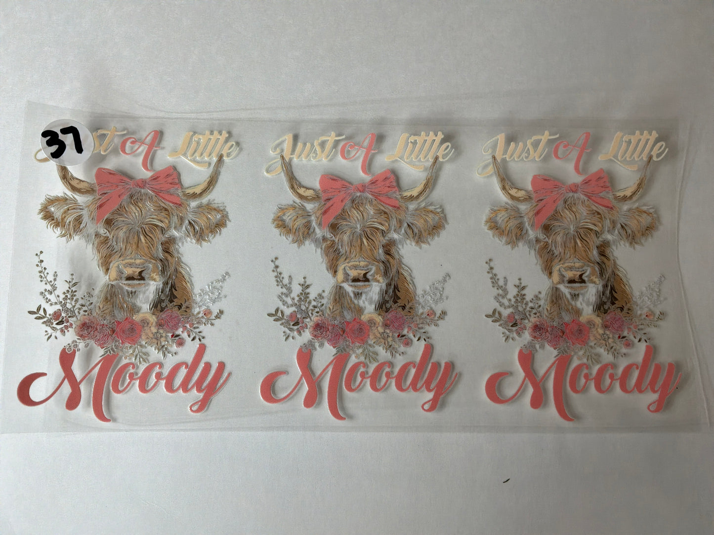 Animals-Animal Prints #37