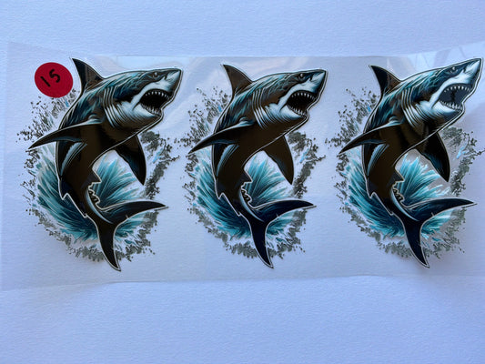Ocean-Shells #15