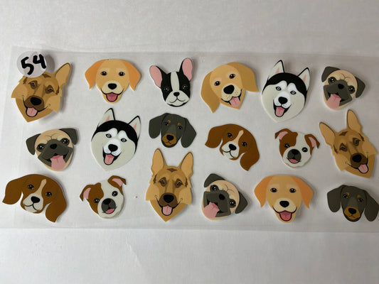 Animals-Animal Prints #54