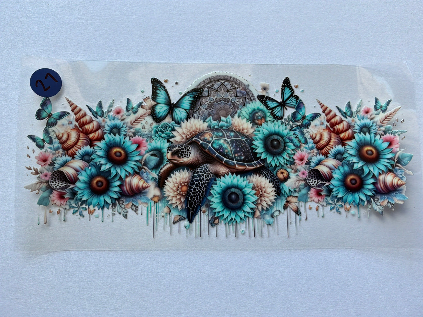 Ocean-Shells #27