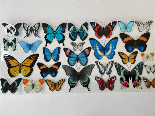 Butterfly-Plants-Bees-Flowers #43