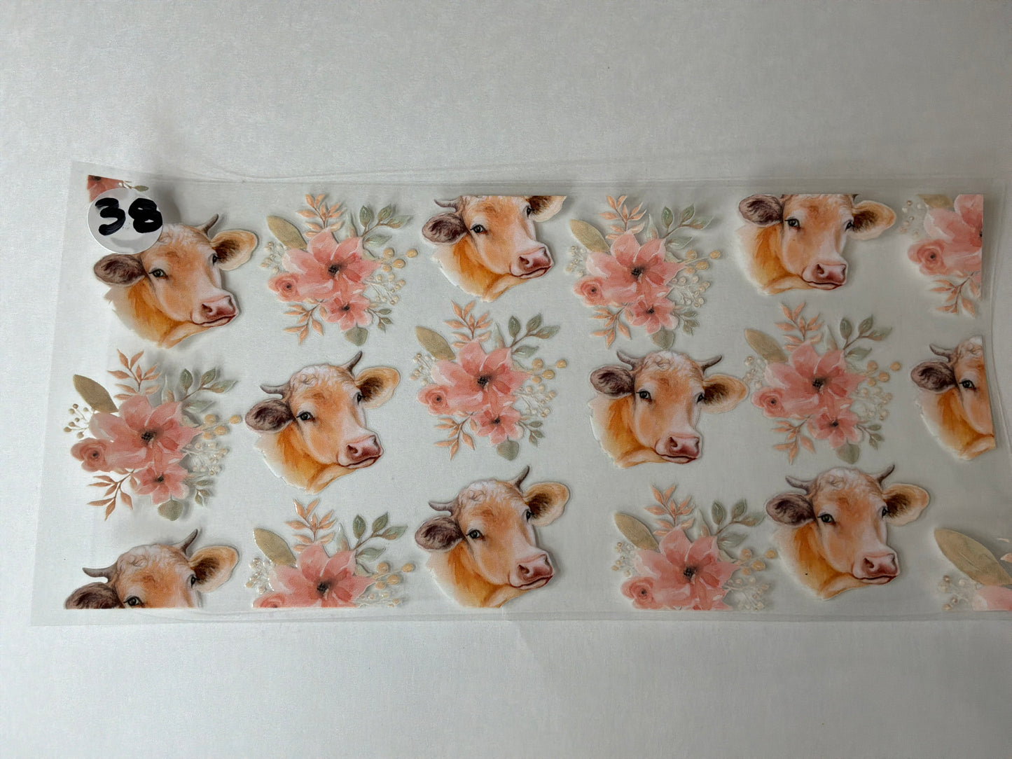 Animals-Animal Prints #38