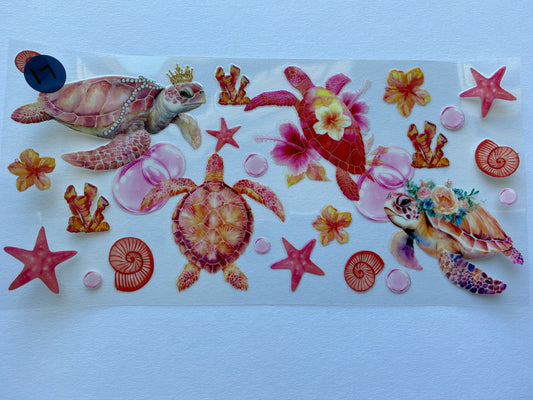 Ocean-Shells #17