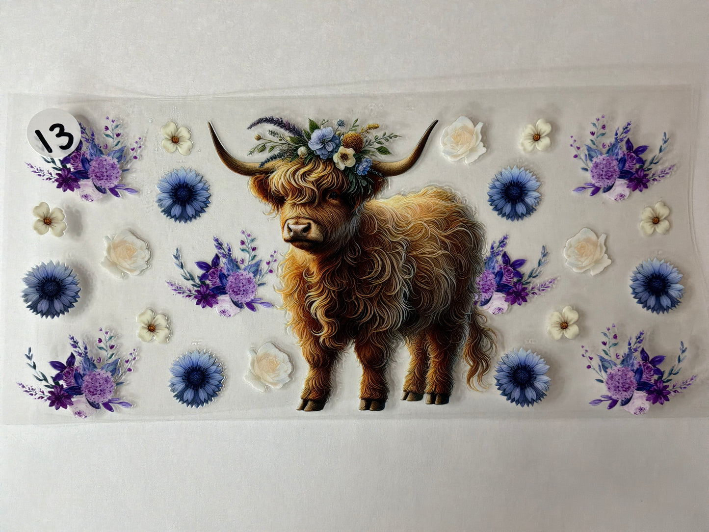 Animals-Animal Prints #13