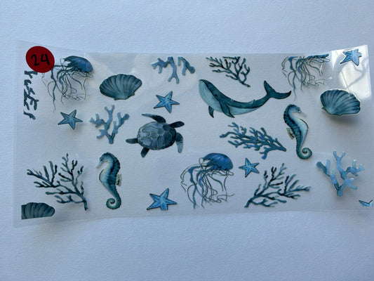 Ocean-Shells #24