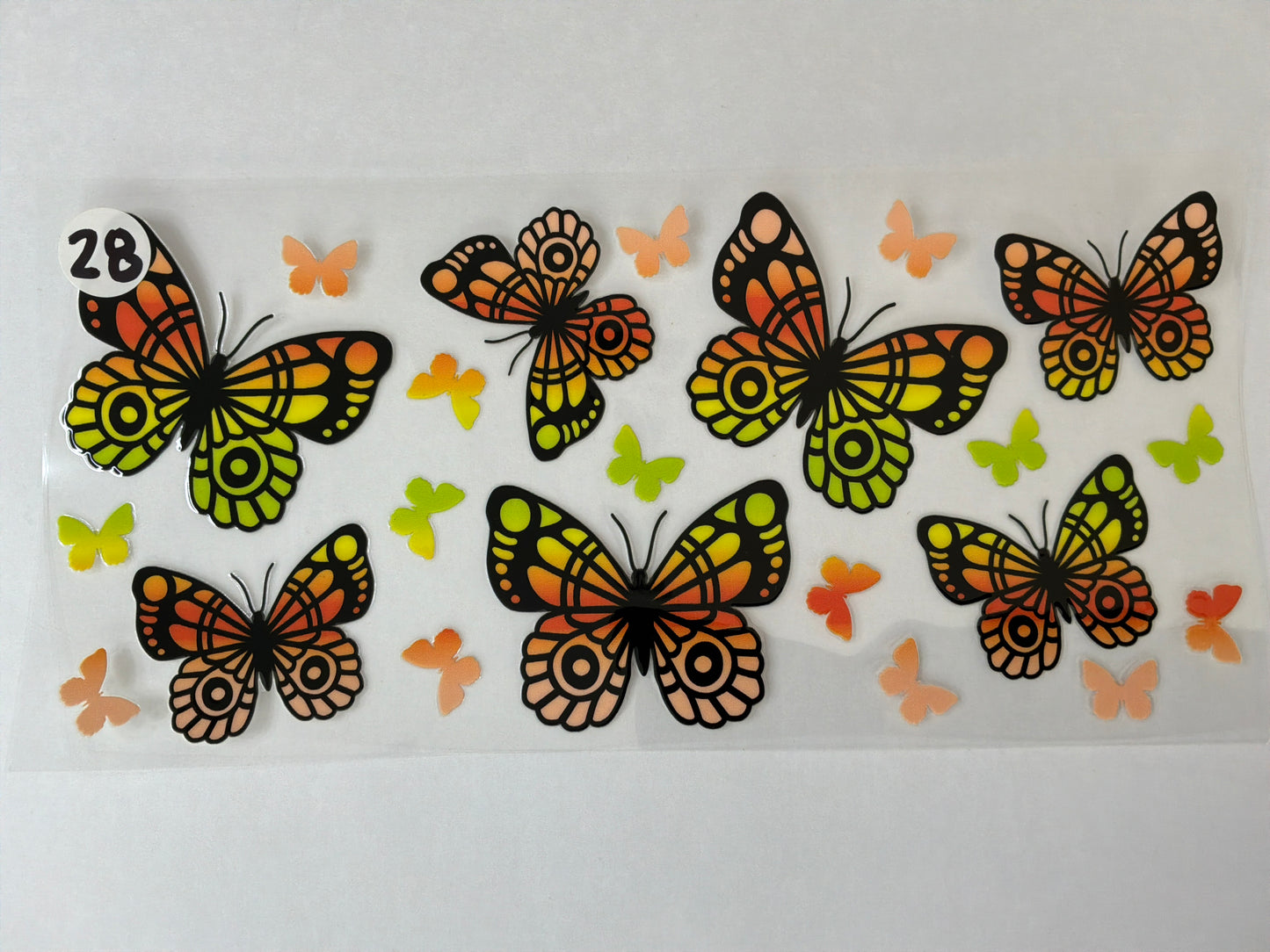 Butterfly-Plants-Bees-Flowers #28