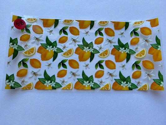 Fruits #58